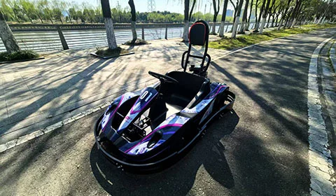 Youth Gas Go-Kart